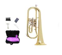 Trompetas B Plate Brass Gold Trumpet Es Adecuado Para Estudiantes Y Principiantes Instrumento trompeta