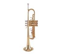 Trompetas B Plato Trompeta Instrumento Musical Tubo De Latón Cuerpo Lacado Oro Instrumento trompeta
