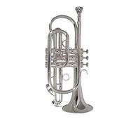 Trompetas BB Flat Trompet Instrument Plateado Plateado Con Boquilla Y Facilidad Musical Instrument Professional Instrumento trompeta