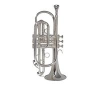 Trompetas BB Flat Trumpet Professional Plateado Plateado Con Boquilla Y Caja De Transporte Instrumento Musical Instrumento trompeta