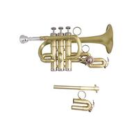 Trompetas BB Trumpet Cepillo Acabados Trompetas De Latón Con Estuche De Boquilla Instrumentos Musicales Tromete Pistones De Acero Inoxidable Instrumento trompeta (Color : Brush finish)