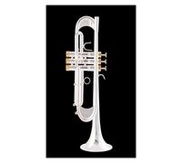 Trompetas BB Trumpet Gold Lacques Plateado Plateado Trompeta Latón Instrumentos Musicales Tipo Compuesto Trompeta Instrumento trompeta (Color : 2)