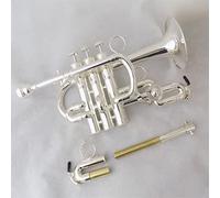 Trompetas BB Trumpet Laca Trompetas De Latón Con Estuche De Boquilla Instrumentos Musicales Tromete Pistones De Acero Inoxidable Instrumento trompeta (Color : Silver plated)