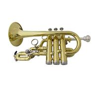 Trompetas BB Trumpet Laca Trompetas De Latón Con Estuche De Boquilla Instrumentos Musicales Tromete Pistones De Acero Inoxidable Instrumento trompeta (Color : Lacquer)