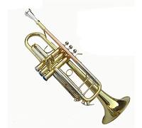 Trompetas BB Trumpet Phosphorus Copper Music Instruments Profesional Trompetas Estudiante Incluido Caso Accesorios Para Boquillas Instrumento trompeta