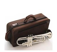 Trompetas BB Trumpet Plateado Plateado Instrumentos De Música Profesionales Trompetas Estudiante Incluido Caso Accesorios Para Boquillas Instrumento trompeta