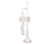 Trompetas BB Trumpet Plateado Trompeta Plomada Pequeño Latón Instrumento Musical Instrumento trompeta (Color : Golden)