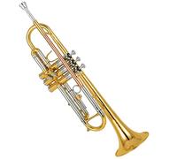 Trompetas Blxt De Latón De Laca De Oro Cupronickel Girando Tono De Tubo BB Instrumento trompeta
