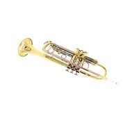 Trompetas El Piso B Brass B Es Adecuado Para El Rendimiento De La Banda De Los Principiantes De Adultos. Trompeta Especial Instrumento trompeta (Color : 3/4)