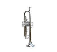 Trompetas El Piso B Brass B Es Adecuado Para El Rendimiento De La Banda De Los Principiantes De Adultos. Trompeta Especial Instrumento trompeta (Color : 3)
