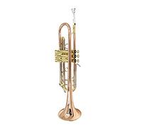 Trompetas El Piso B Brass B Es Adecuado Para El Rendimiento De La Banda De Los Principiantes De Adultos. Trompeta Especial Instrumento trompeta (Color : 2)