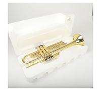 Trompetas Golden Blass B-Flat Trumpet Caja De Espuma Embalaje Estudiantes Principiantes Practique Jugar Trompeta Instrumento trompeta