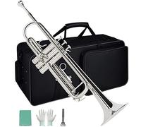 Trompetas Instrumento De Trompeta BB Estándar De Latón Para Estudiantes Principiantes Instrumento trompeta (Color : Nickel Plated)
