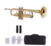 Trompetas Instrumento De Viento De La Trompeta De Latón BB Estándar Con La Boquilla Lleva Los Guantes De La Bolsa De Limpieza Del Sintonizador De Telas De Tela Instrumentos Musicales Instrumento tromp