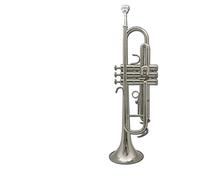 Trompetas Instrumento Musical De La Trompeta En B Plana Para Principiantes General Brass Trumpet Brass Band Band Band Band Instrumento trompeta (Color : Silver)