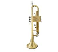 Trompetas Instrumento Musical De La Trompeta En B Plana Para Principiantes General Brass Trumpet Brass Band Band Band Band Instrumento trompeta (Color : Gold)