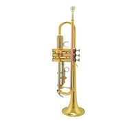 Trompetas Instrumento Musical De Trompeta B-Flat Mayor Principal Examen Instrumento trompeta