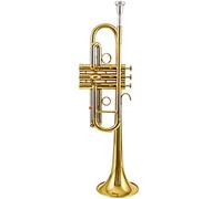Trompetas La Trompeta De Latón Treble C Es Adecuada Para Un Examen De Grado/Rendimiento/Banda De Viento Instrumento trompeta