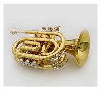Trompetas Número De Palma Del Instrumento Musical/Número De Regalo B B Plana Trompeta Instrumento Musical Instrumento trompeta
