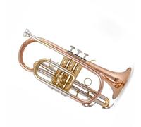 Trompetas para estudiantes principiantes Instrumento De Trompeta Corneta En Si Bemol Para Principiantes Profesional Plateado Tono De Latón Duradero(Brass)