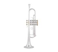 Trompetas para estudiantes Trompeta Pequeña Bb, Instrumentos Musicales Profesionales Con Llave Dorada Y Plateada, Con Estuche