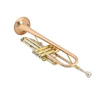 Trompetas Phosfor De Trompeta B-Flat Fashor Bronce Occidental Instrumento trompeta