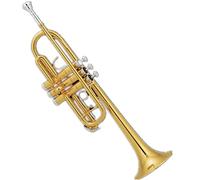 Trompetas Popular Clave De Grado C Key Laca De Oro Trompeta Instrumento trompeta