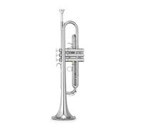 Trompetas Principiante de trompeta en si bemol tocando banda profesional para examen de calificación Instrumento trompeta (Color : Silver)