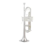 Trompetas principiantes Trompeta Pequeña Bb, Instrumentos Musicales Profesionales Con Llave Dorada Y Plateada, Con Estuche