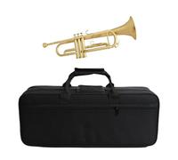trompetas profesionales Bolsa portátil pequeña impermeable práctica suministros de instrumentos musicales bolsa de instrumentos para reproductor de orquesta de concierto