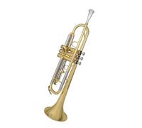 trompetas profesionales Ejercicios de nivel inicial para estudiantes de banda de instrumentos de trompeta en si bemol para el examen de grado