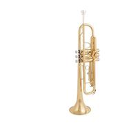 trompetas profesionales Ejercicios de nivel inicial para estudiantes de banda de instrumentos de trompeta en si bemol para el examen de grado