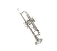 trompetas profesionales Estudiante Principiante Instrumento Musical Si bemol Niños Adultos Escuela Grupo General Examen de desempeño profesional(Color:Silver)