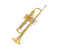 trompetas profesionales Estudiante Principiante Instrumento Musical Si bemol Niños Adultos Escuela Grupo General Examen de desempeño profesional(Color:Gold)
