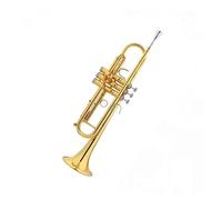 trompetas profesionales Examen avanzado de interpretación de instrumentos de trompeta Instrumento de viento Latón