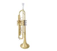 trompetas profesionales Examen de estudiante de banda de instrumento de trompeta plana B de tubo de tono de latón mejorado para principiantes