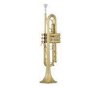 trompetas profesionales Instrumento de trompeta Cepillado Mate Trompeta Orquesta Fiesta