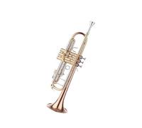 trompetas profesionales Instrumento de trompeta de un solo tubo de cobre blanco trompeta plana B tubo de cobre dorado lacado