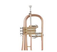 trompetas profesionales Instrumento de trompeta en Si bemol bronce fosforado modelo plateado prueba de rendimiento para principiantes