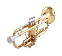 trompetas profesionales Instrumento de trompeta en si bemol para principiantes para realizar exámenes para interpretación de orquesta escolar