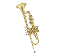 trompetas profesionales Instrumento de trompeta en si bemol para principiantes trompeta de latón universal banda militar banda de viento escolar