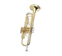 trompetas profesionales Instrumento de trompeta Si bemol accesorios para instrumentos de latón profesionales para niños trompeta latón chapado en oro