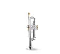 trompetas profesionales Instrumento de trompeta TLSM-8335GS prueba de grado principiante de bronce fósforo chapado en oro y plata(Color:Multi-colored)