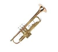 trompetas profesionales Instrumento de viento de trompeta de bronce de fósforo intermedio trompeta intermedia en Si bemol trompeta exquisita