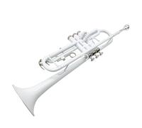 trompetas profesionales Si bemol trompeta de tres tonos instrumento de latón cuerno estudiante banda para principiantes(Color:White)