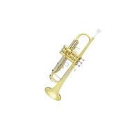 trompetas profesionales Trompeta B plana dorada y plateada trompeta Bb cuerpo de latón juego de trompeta con caja de almacenamiento accesorios(Color:2)