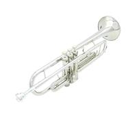 trompetas profesionales Trompeta Bb cuerpo de latón juego de trompeta con caja de almacenamiento accesorios trompeta profesional B plana dorada y plateada (Color : Silver)
