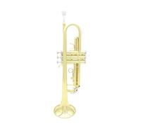 trompetas profesionales Trompeta Bb cuerpo de latón juego de trompeta con caja de almacenamiento accesorios trompeta profesional B plana dorada y plateada (Color : Gold)