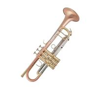 trompetas profesionales Trompeta Bronce fósforo cepillado Grado de rendimiento profesional Trompeta profesional B Instrumento de trompeta plano para principiantes