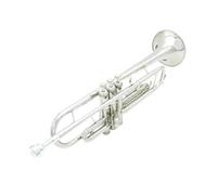 trompetas profesionales Trompeta de alta calidad Bb B trompeta de latón duradera de fondo plano con boquilla plateada hermosa bolsa de concierto(Color:Gold)